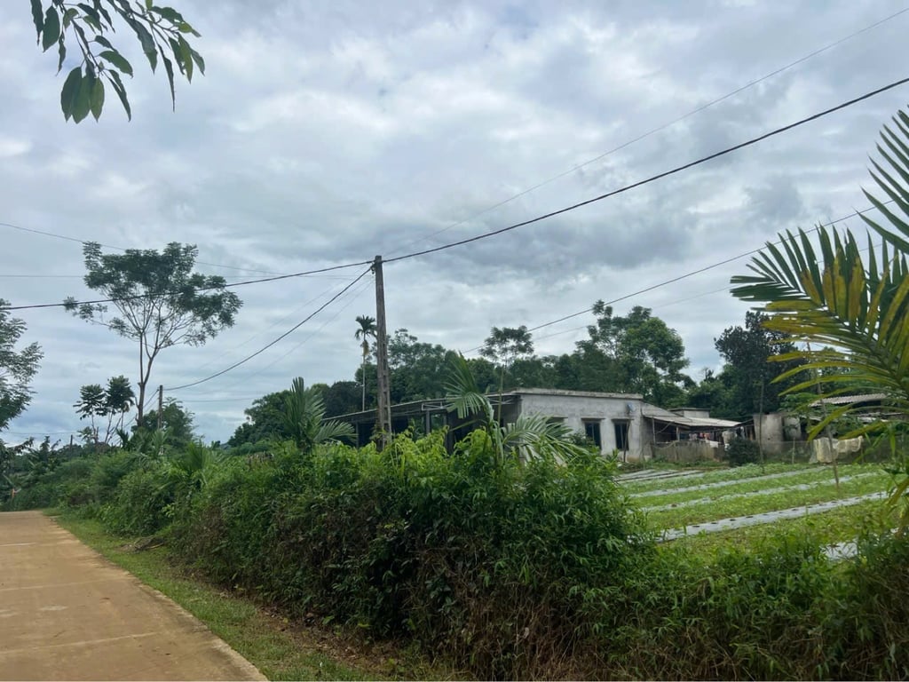 tại xã lỗ Sơn Tân Lạc hòa bình  Diện tích khoảng 400m2 có 120m2 thổ cư chỉ 2xx triệu