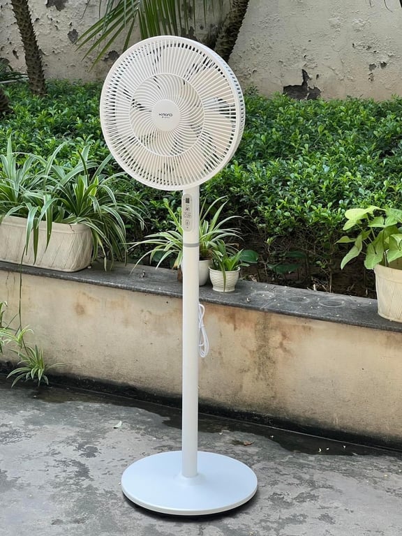 Quạt cây 7 cánh điều khiển từ xa Kaiyo Nhật 2024