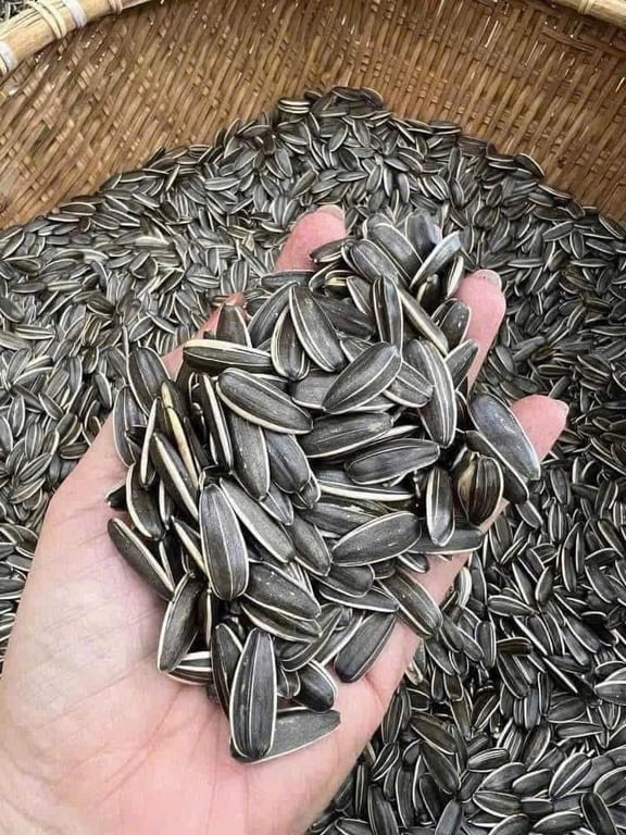 Hạt hướng dương 1kg