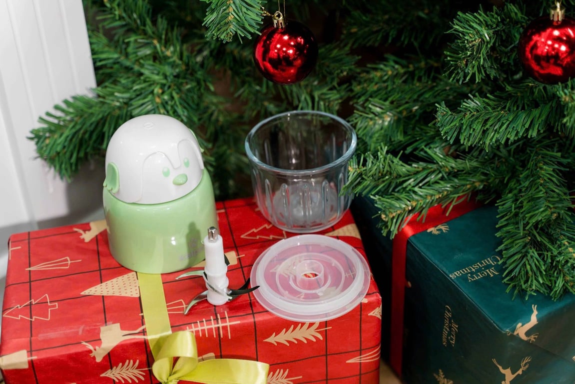 MÁY XAY THỊT MINI ĐA NĂNG KALPEN OL2