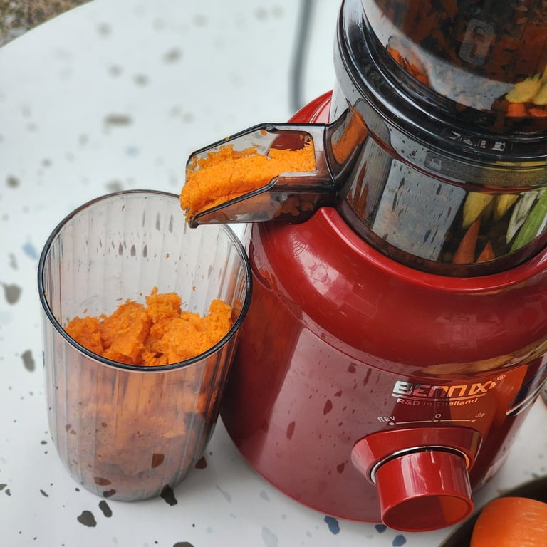 MÁY ÉP CHẬM BENNIX BN-09SJ