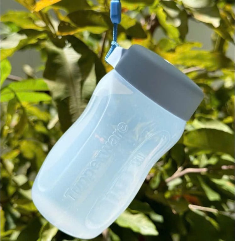 eco 310ml Tupperware