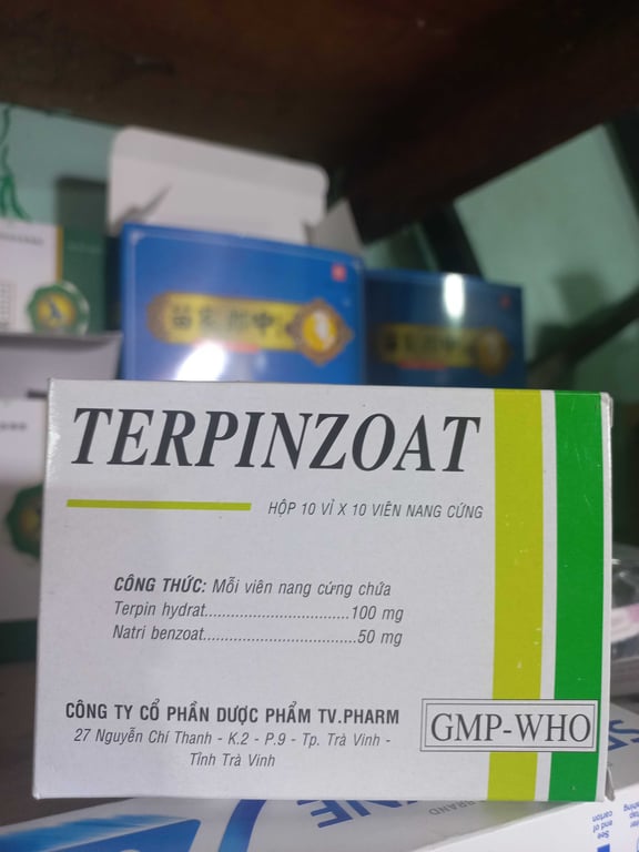 Terpinzoat trà vinh h/100v cải