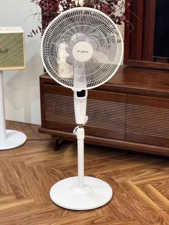 Quạt cây 2Lock🧸nội địa Hàn