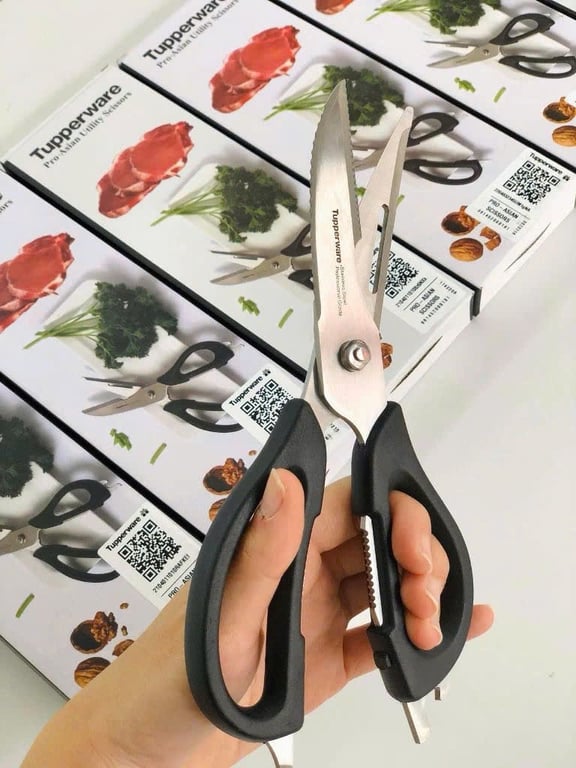 𝗞𝗲́𝗼 đ𝗮 𝗻𝗮̆𝗻𝗴 𝗣𝗿𝗼-𝗔𝘀𝗶𝗮𝗻 TUPPERWARE