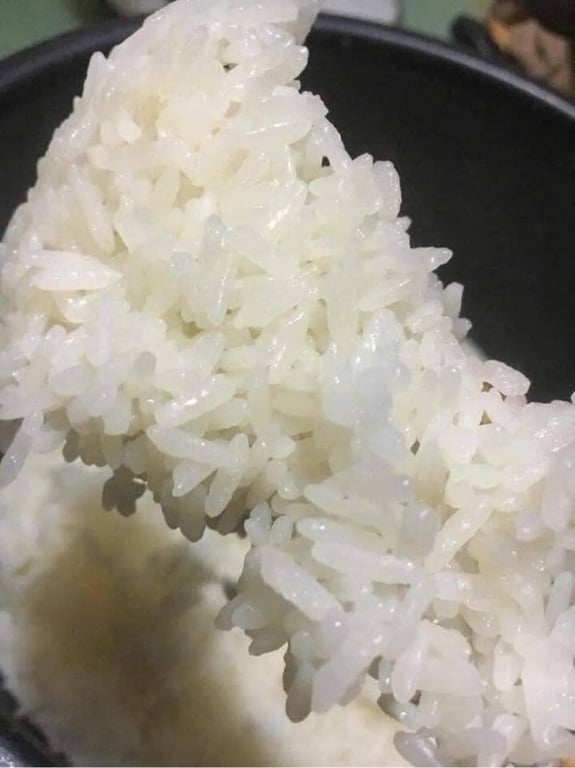 Gạo Séng Cù Điện Biên túi 10kg