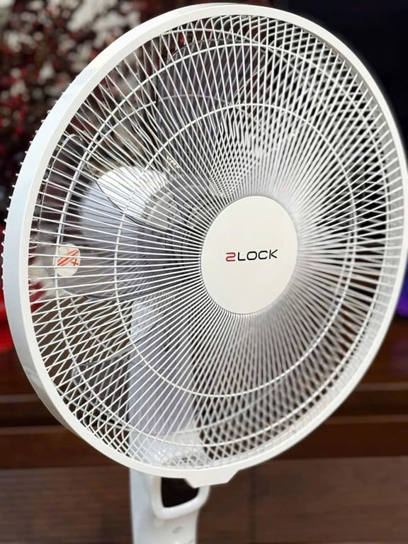 Quạt cây 2Lock🧸nội địa Hàn
