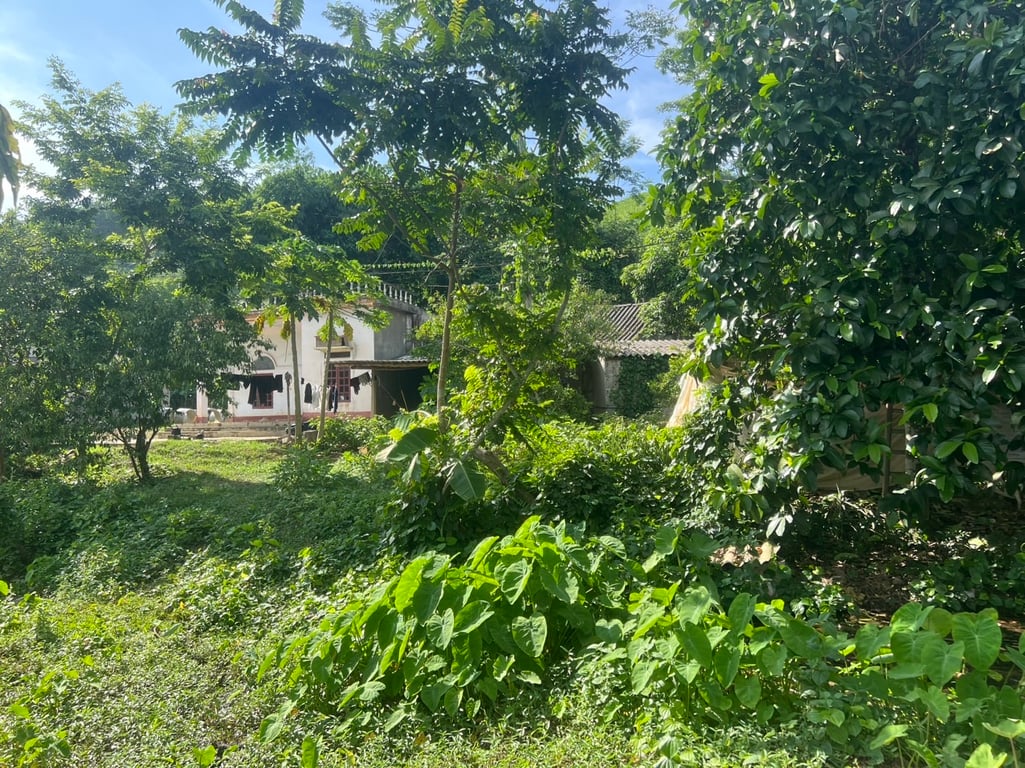 3830 m2 có 2000 m2 thổ cư tại Yên Thuỷ, Hoà Bình