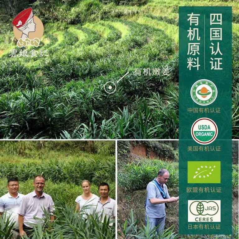 HỘP KẸO GỪNG HỮU CƠ LÀM THỦ CÔNG ĐẠT CHUẨN CHÂU ÂU