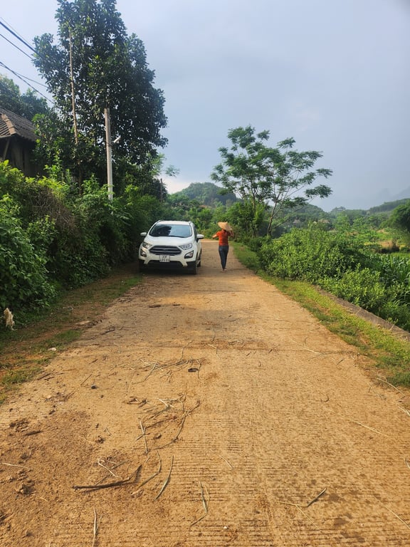 ĐẤT ĐẸP MỸ HÒA, TÂN LẠC 1500m2