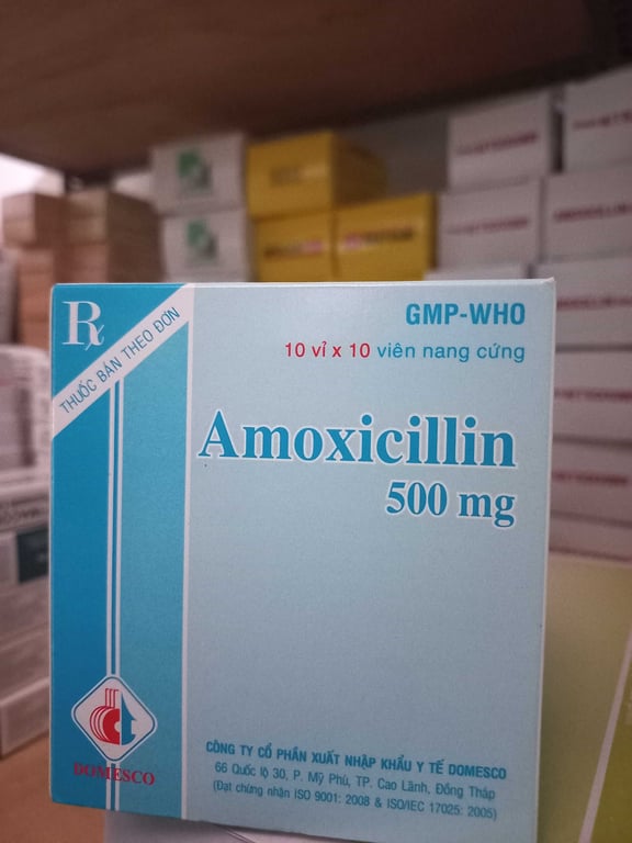 Amoxicillin 500mg domesco hộp 10×10 viên