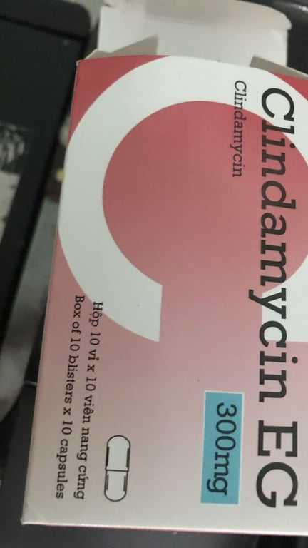 Clindamycin 300 dmc h/100v