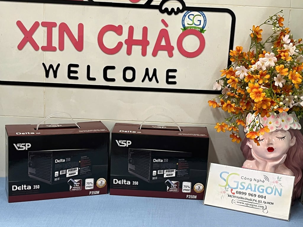 Nguồn VSP Delta P350W