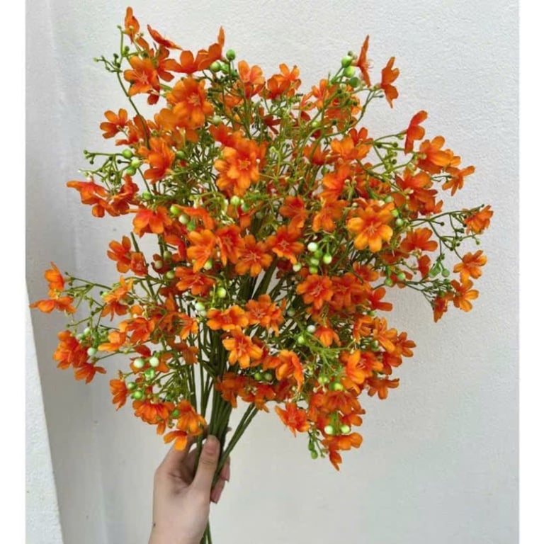 10 Cành Nhất Chi Mai