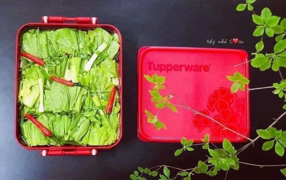 SET 2 HỘP KIM CHI TUP SIÊU TO KHỔNG