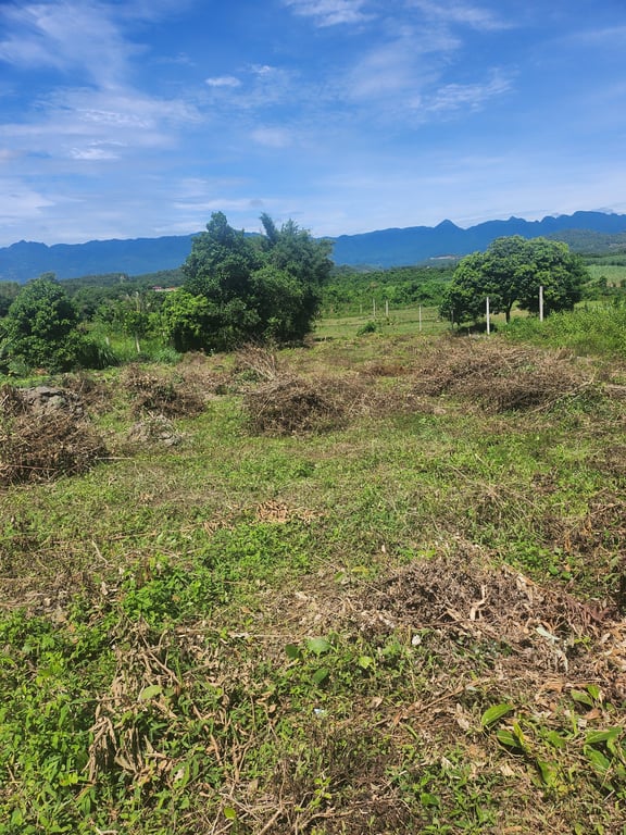 Mỹ Hòa, Tân Lạc, Hoà Bình. 1100m2