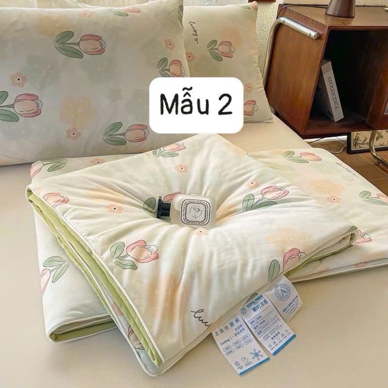 Chăn thun lạnh 2025
