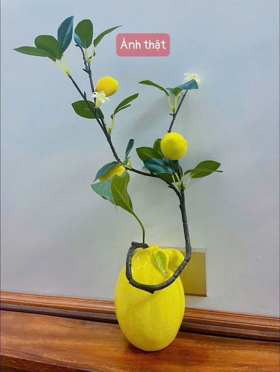 Cành chanh mỹ  kèm lọ xinh ơi là xinh