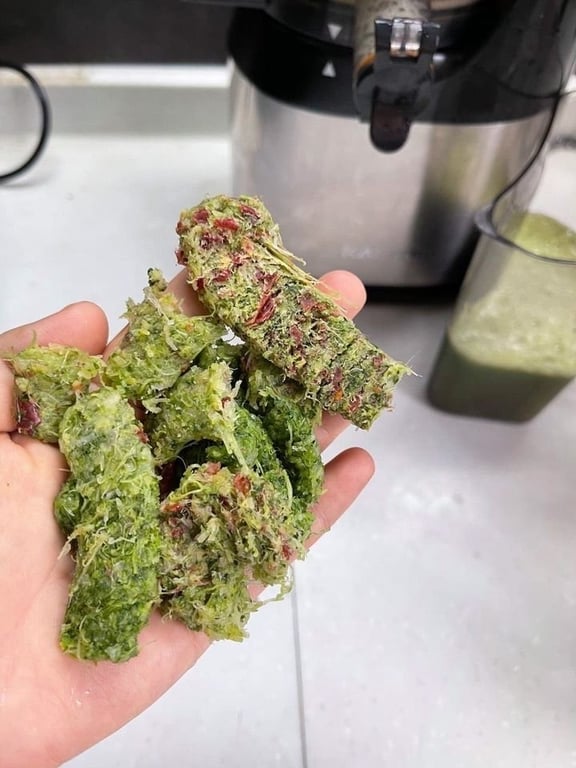 MÁY ÉP CHẬM KALITE KL-565