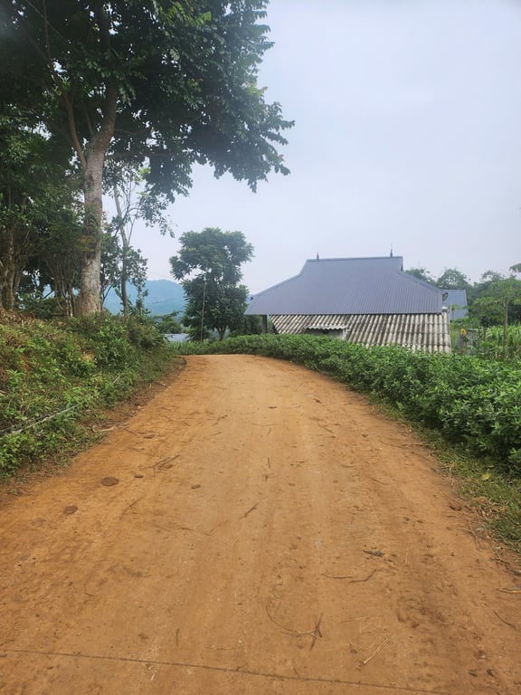 Thạch Yên, Cao Phong, Hoà Bình,thực tế sử dụng 1200m2, sổ 900m2, 200m2 thổ cư