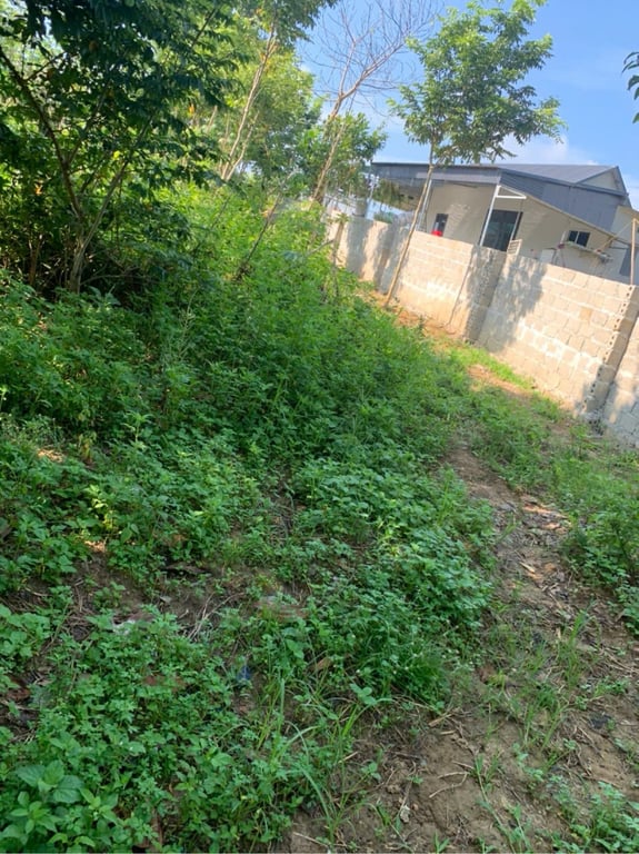 Diện tích 1891m2 có 537m2 thổ cư tại Bắc Phong, Cao Phong