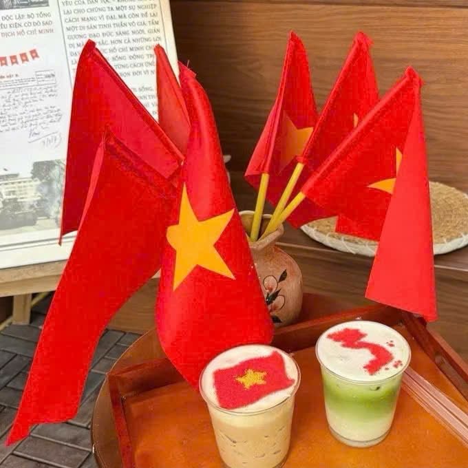 Set 10 Cờ vẫy tay Quốc kỳ Việt Nam