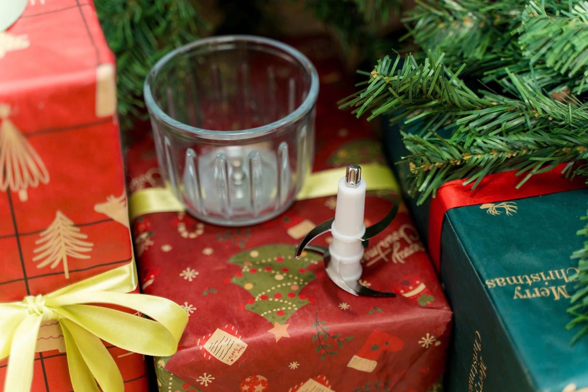 MÁY XAY THỊT MINI ĐA NĂNG KALPEN OL2