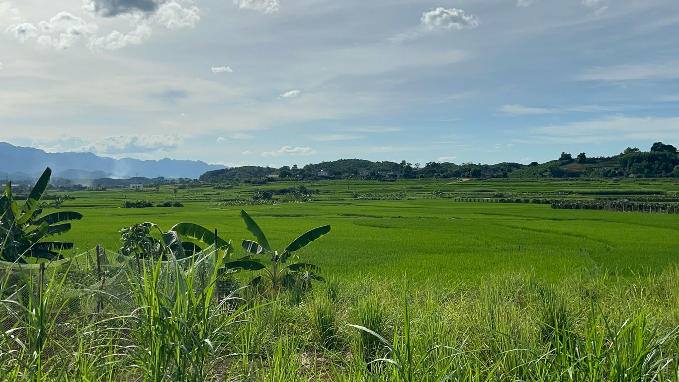 Lô đất 304m2 có 200m2 thổ cư tại Tân Lạc, Hoà Bình chỉ 299tr