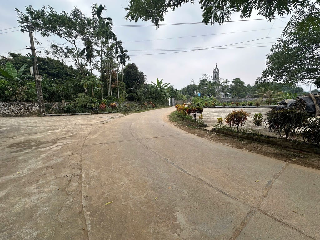 161m2 có 156m2 thổ cư tại Thanh Sơn, Lương Sơn, Hoà Bình, cách Hà Đông hơn 40km