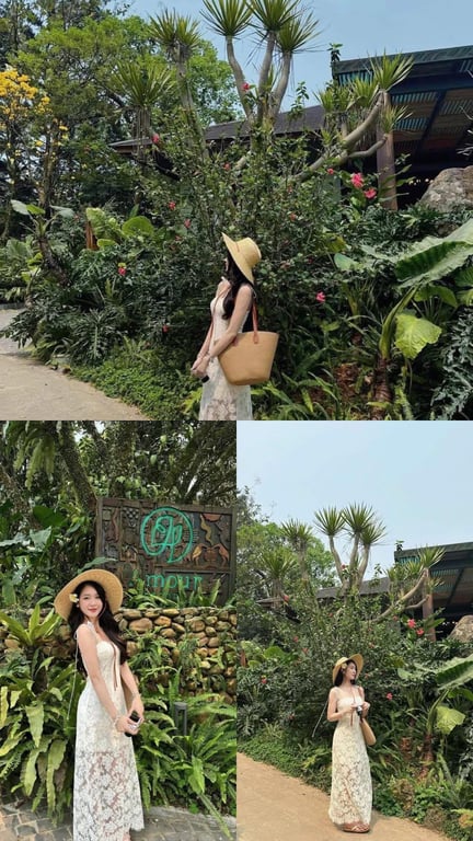 2 dây ren bướm