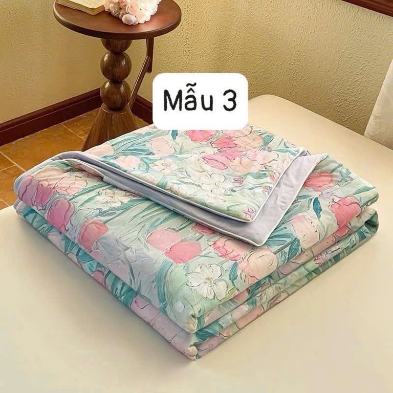 Chăn thun lạnh 2025