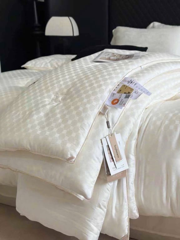 CHĂN TƠ TẰM BÔNG ĐẬU NÀNH NHẬP KHẨU CAO CẤP CELIEN 2MX2M3