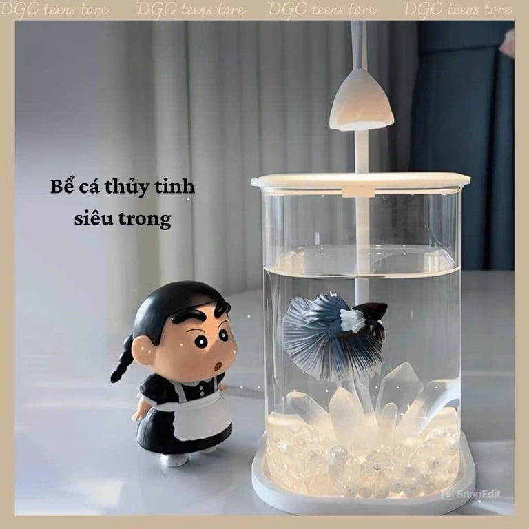 Bể cá mini để bàn