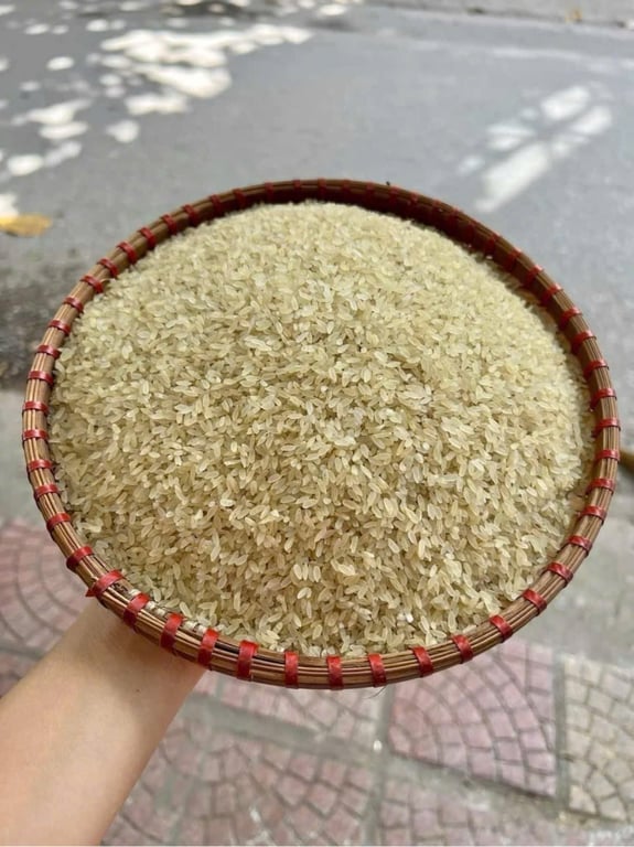 Gạo khẩu hang (nếp non)