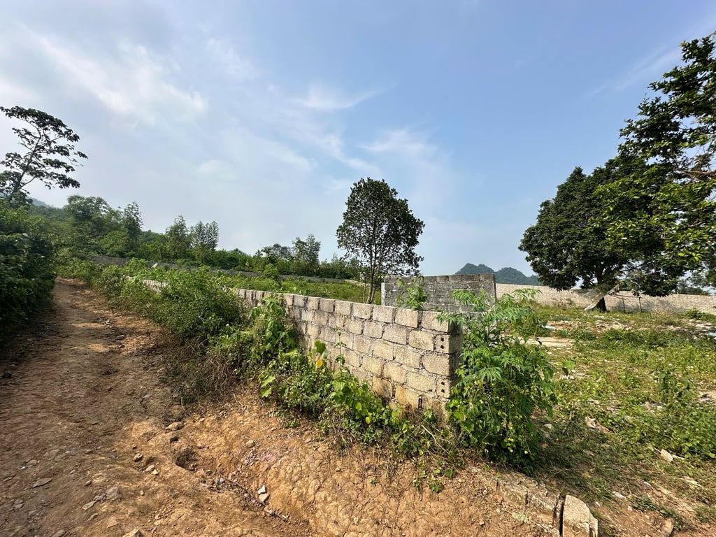 2144m2 có 1900m2 ONT tại Lương Sơn, Hoà Bình