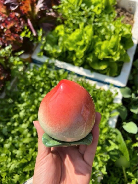 2 HŨ ĐỰNG TRÀ QUẢ ĐÀO