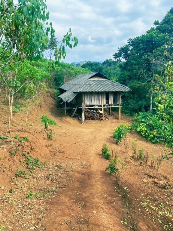 6177m2, 400m2 thổ cư tại Yên Lập, Cao Phong, Hoà Bình