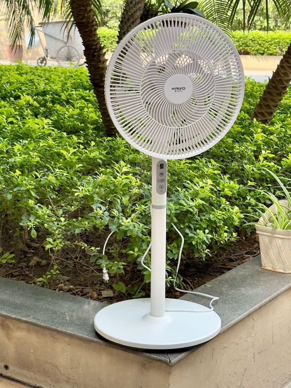 Quạt cây 7 cánh điều khiển từ xa Kaiyo Nhật 2025