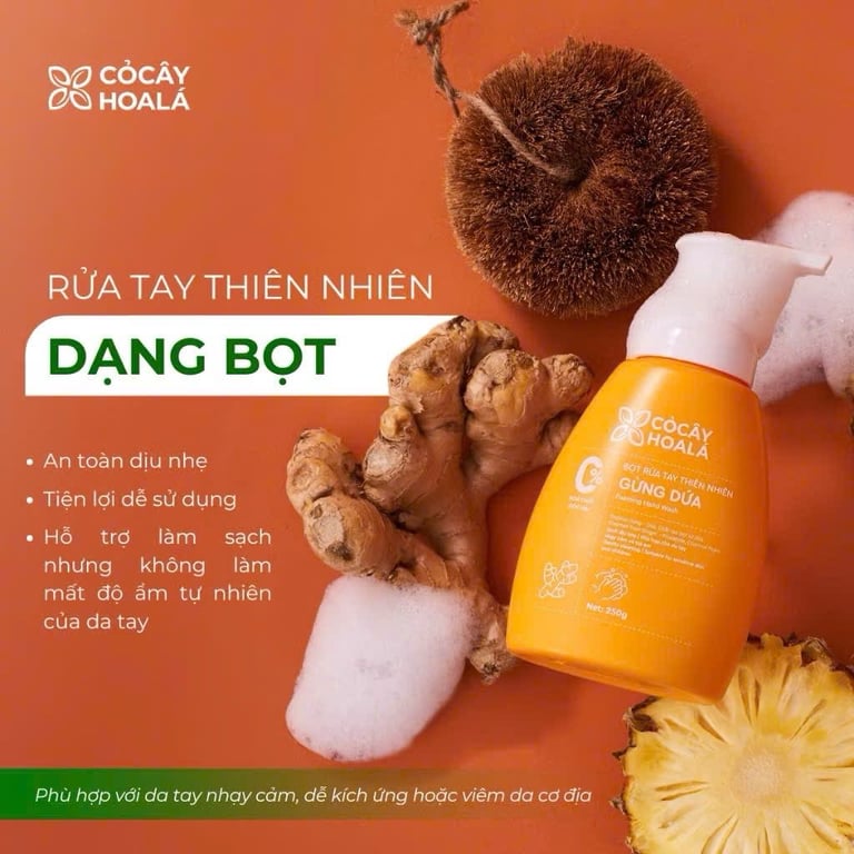 Bộ sản phẩm Nhà sạch bếp thơm Gừng Dứa CỎ CÂY HOA LÁ