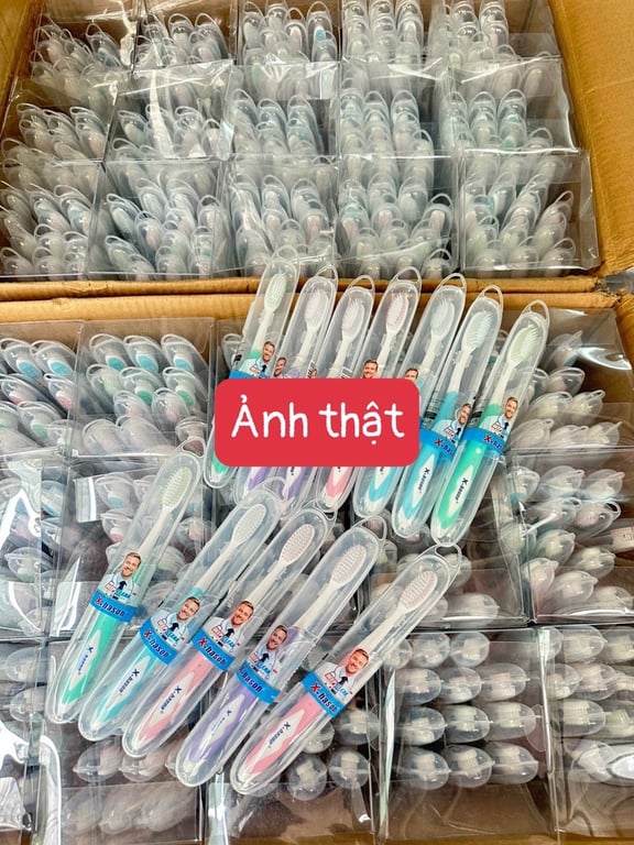 COMBO 12 BÀN CHẢI XUẤT MỸ