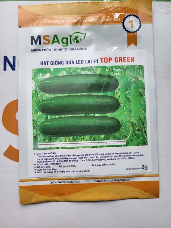 Hạt giống dưa leo siêu sai quả, siêu thơm