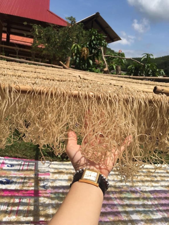 Miến dong thái tay Sơn La