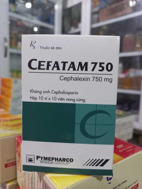 Cefatam 750 h/100v