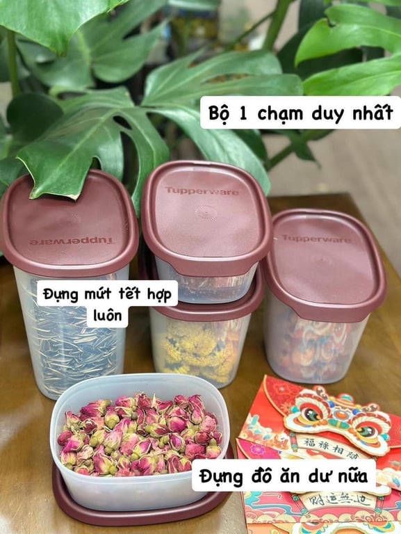 Set hộp trữ mát one touch fresh