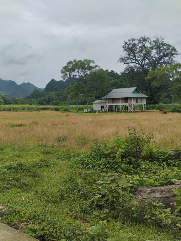 257m2 full thổ cư tại Tân Lạc, Hoà Bình