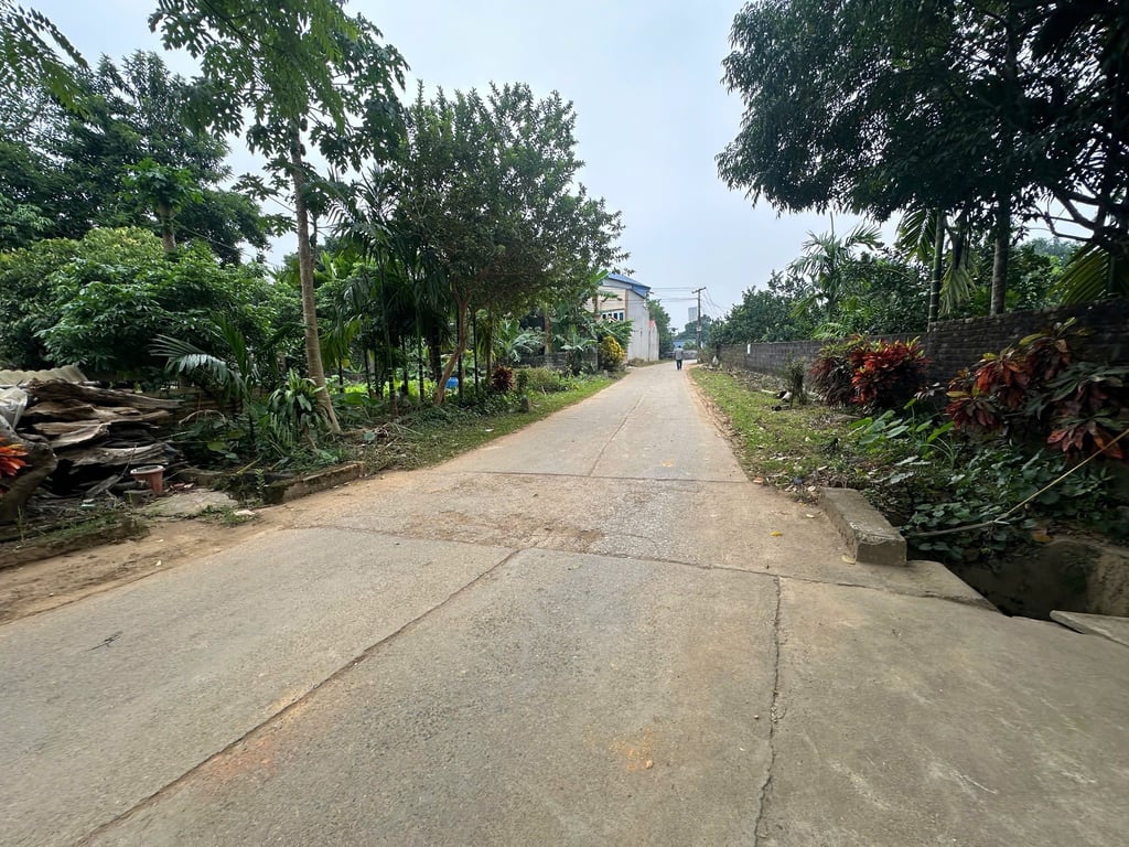 161m2 có 156m2 thổ cư tại Thanh Sơn, Lương Sơn, Hoà Bình, cách Hà Đông hơn 40km