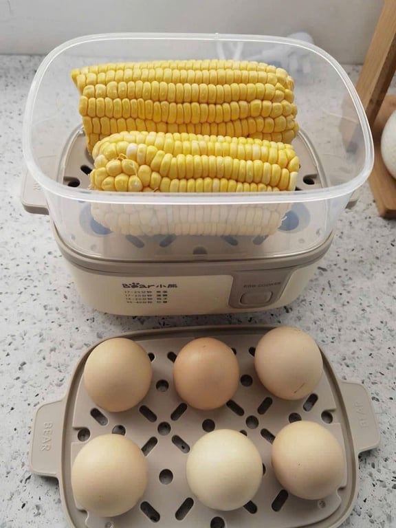 NỒI HẤP 2 TẦNG BEAR