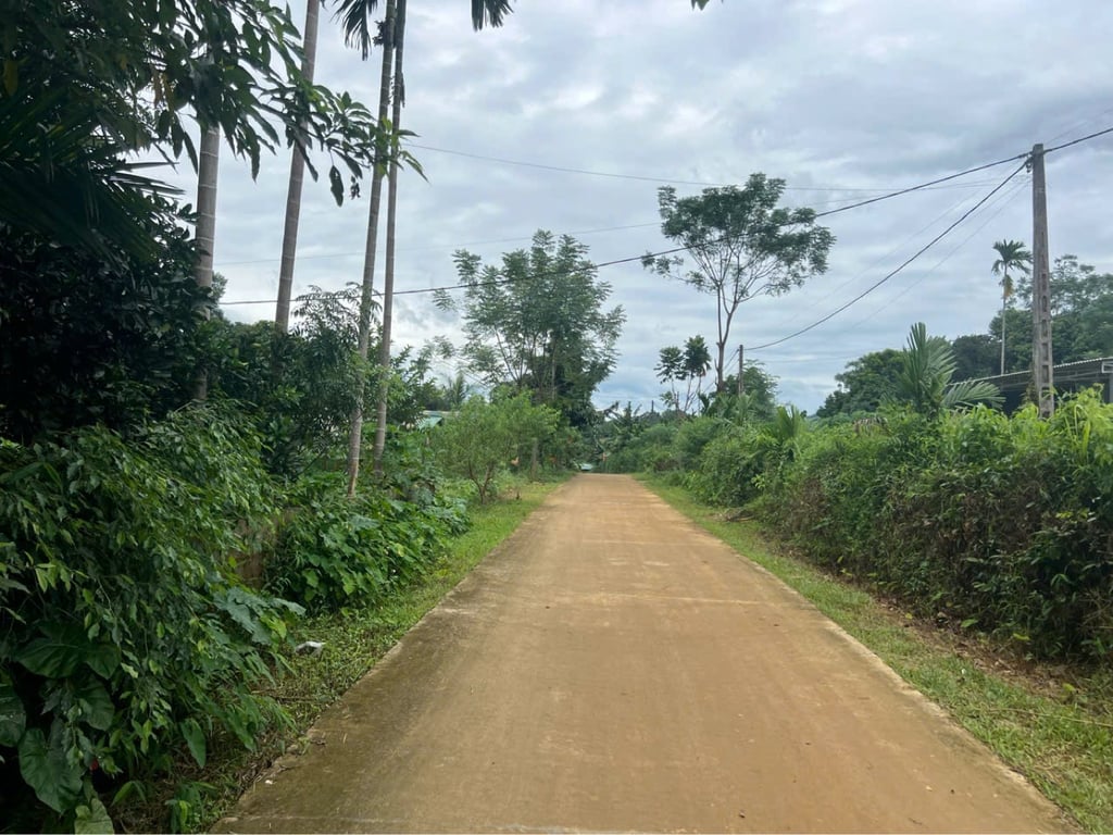 tại xã lỗ Sơn Tân Lạc hòa bình  Diện tích khoảng 400m2 có 120m2 thổ cư chỉ 2xx triệu