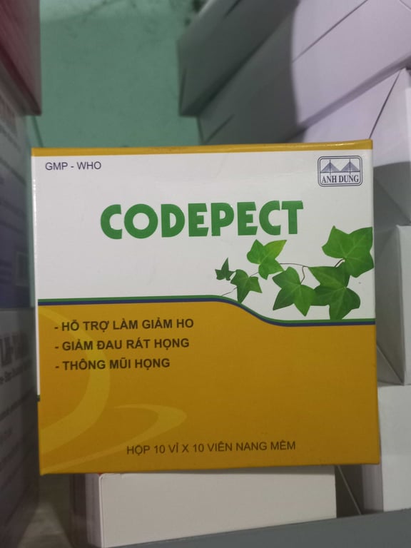 Codepect hộp 10×10 viên anh duy