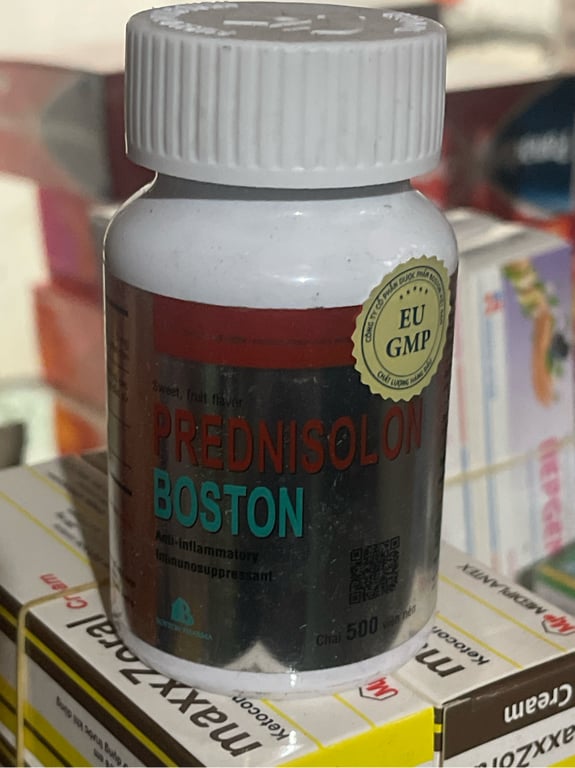 Prednisolon 5 lọ 500v boston